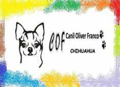 Canil Oliver Franco
